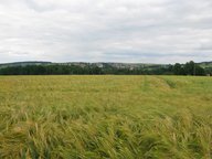 Blick über Bad Neualbenreuth